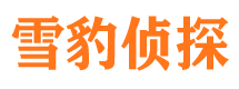 向阳侦探公司